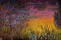 Sunset left half Claude Monet